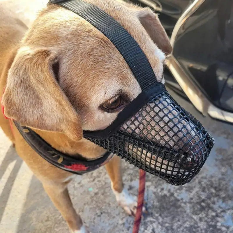 Pet Dog Adjustable Mask Bark Bite Mesh Mouth Muzzle Grooming Anti-bite Stop Chewing Muzzle Pets Accessories