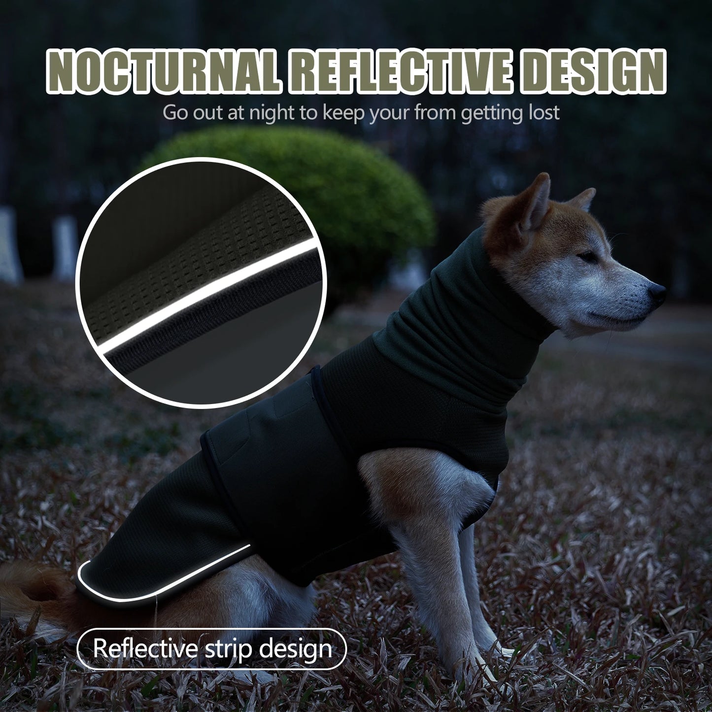 001-Gilet per l'ansia del cane-corpo e orecchie