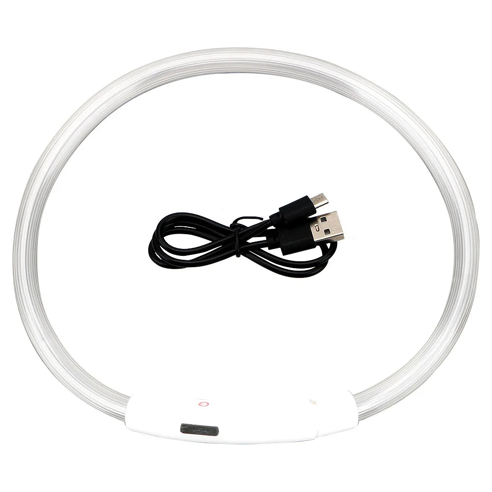 05-Collare USB a LED per Passeggiate Notturne con il Cane