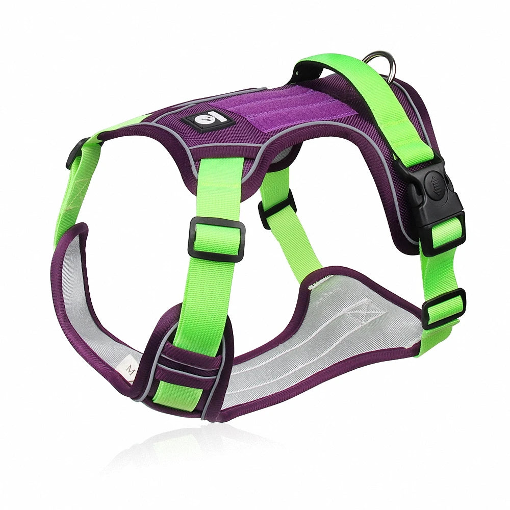 03-Comfort e Controllo – Pettorina per Bulldog & Cani Robusti