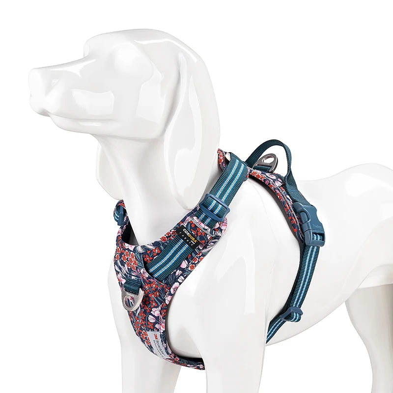Pettorina Truelove Pet Harnesses Durable Update Codura Fabric Nylon Aluminum Accessories Dog Harnesses Manufacturers TLH5656