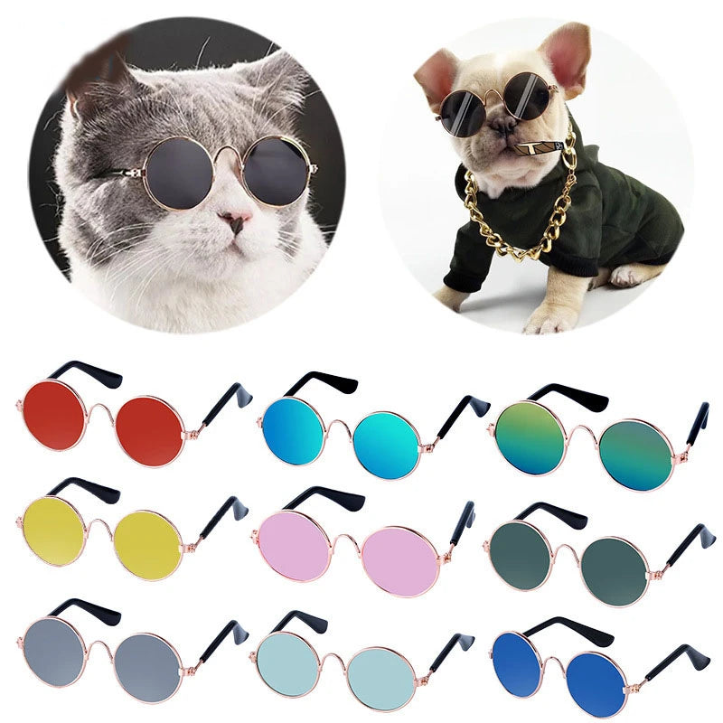 001-Occhiali Tondi Vintage per Cani e Gatti