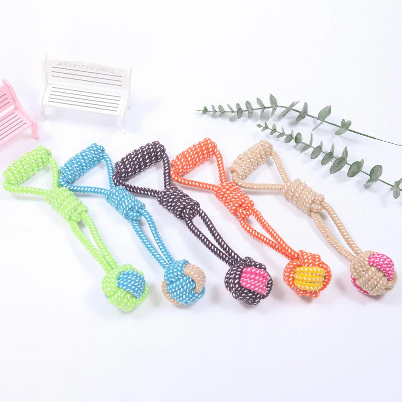 04-Gioco interattivo pet Toys.