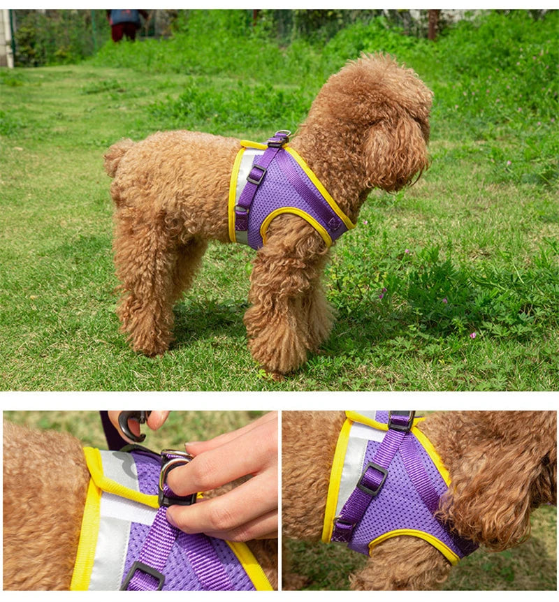 Puppy Dog Harness Leash Rope Set Breathable Summer Mesh Dogs Harness Vest Reflective Pet Cat Chest Straps Chihuahua Yorkies