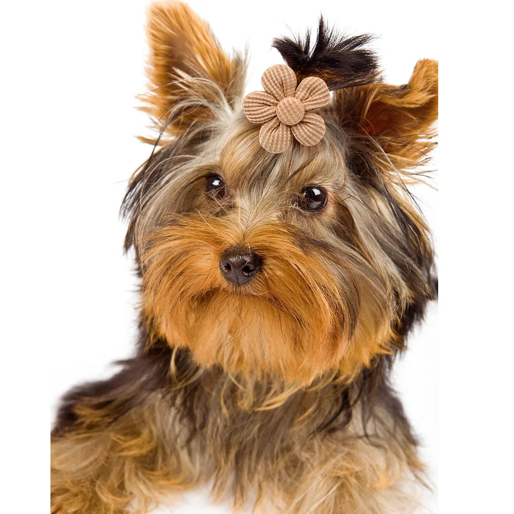 10PCS Solid Color Pet Dog Bows Puppy Flower Hair Bows Rubber Bands for Dogs Cute Cat Dog Bows Hairwear Dog Hair Accessories