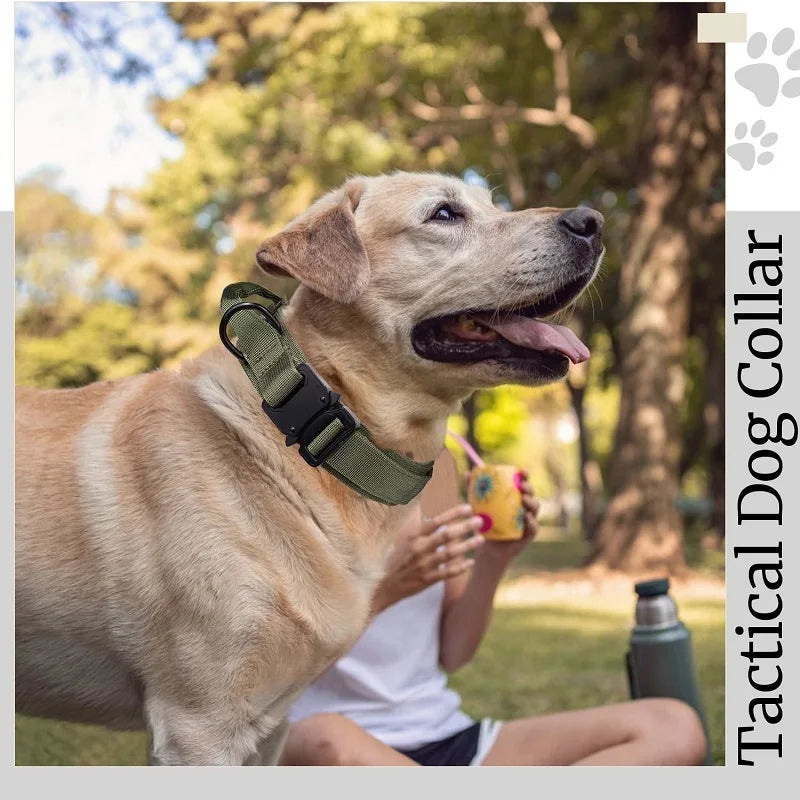 05-Collare tattico regolabile in nylon per cani medi e grandi