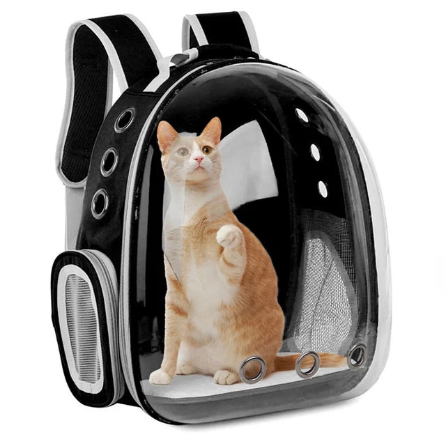 Trasportino Pet Cat Carrying Bag Space Pet Backpacks Breathable Portable Transparent Backpack Puppy Dog Transport Carrier Space Capsule Bags
