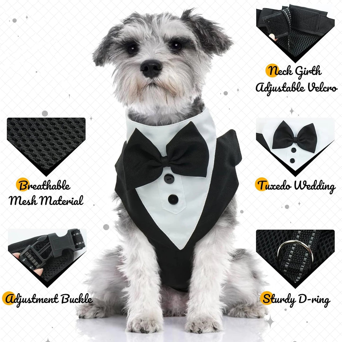 03-Pettorina formale per cuccioli con papillon per matrimonio.