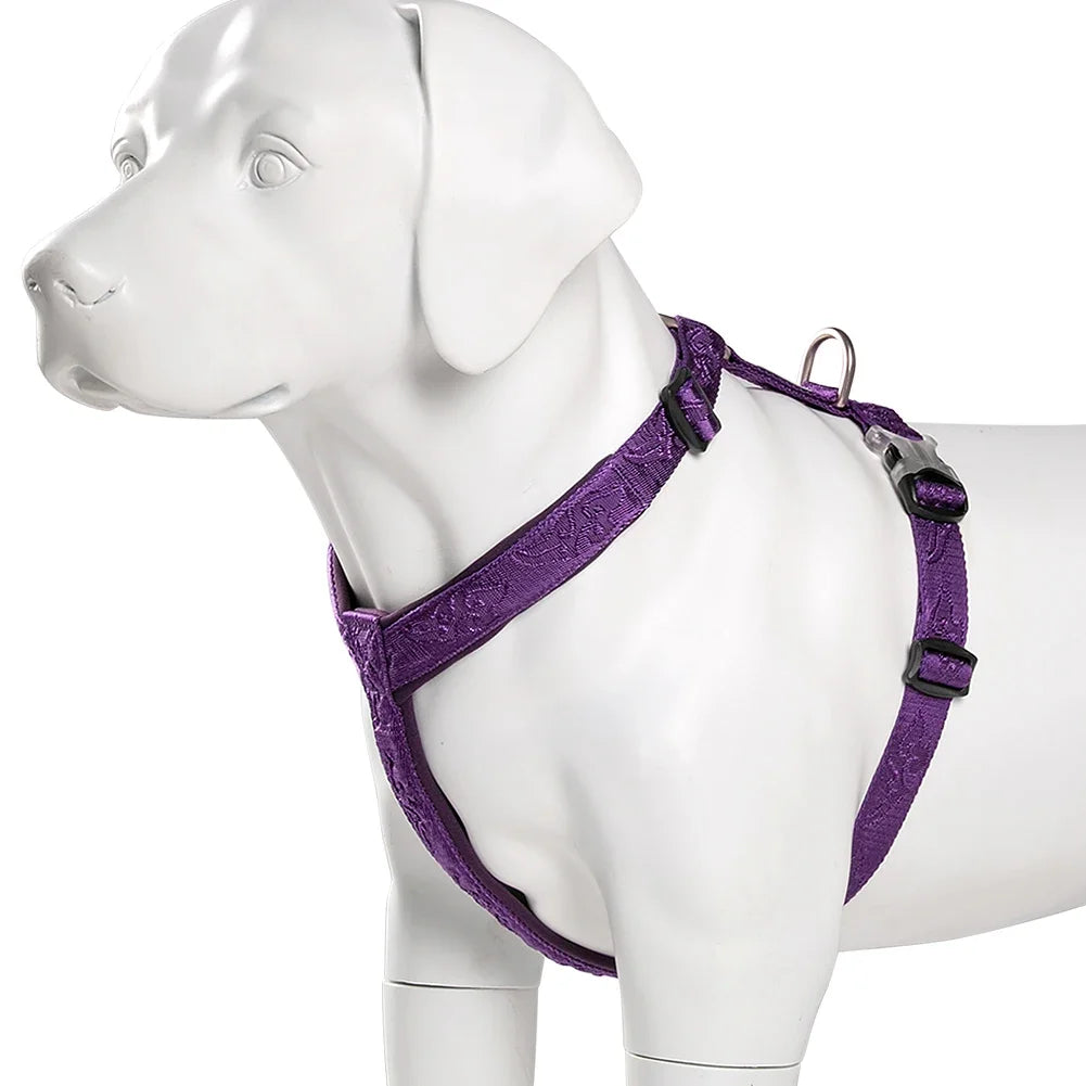TRUELOVE Pettorina Hairy Usag Premium Trail Runner No-Pull Dog Harness 3M Reflective Straps Dog Ultra Comfortable Cross Country YH1801