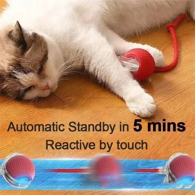 04-Giocattolo Interattivo per Gatti con Coda Elettronica