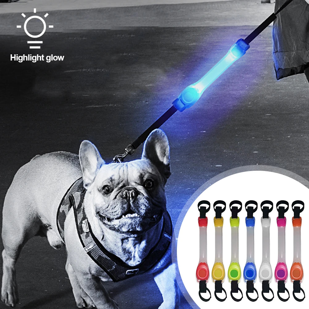 05-Collare luminosi per cani anti smarrimento.