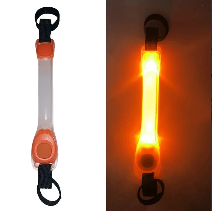 05-Collare luminosi per cani anti smarrimento.