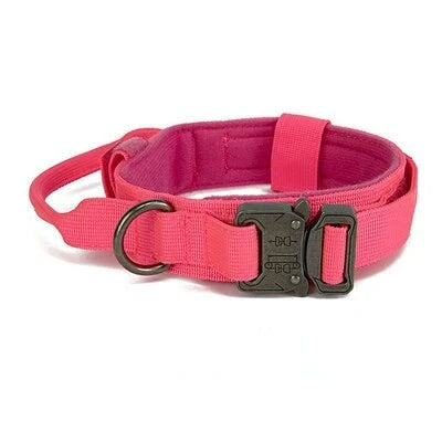 05-Collare addestramento e passeggio per cani con maniglia controllo