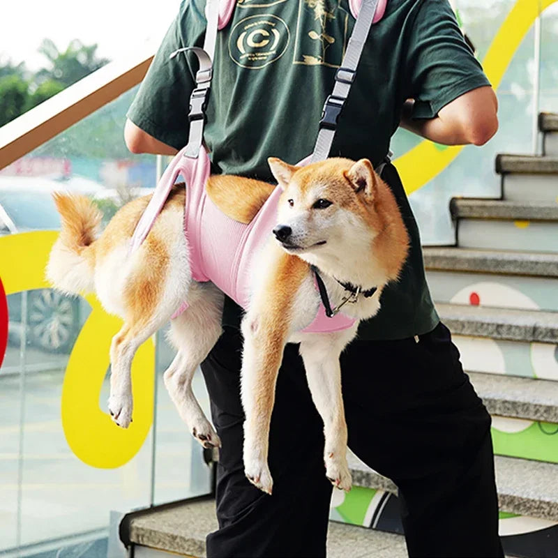 Trasportini Pet Supplies Dog Duffel Bag Adjustable Long and Short Dog Backpack Summer Mesh Breathable Cat Out Travelling Bag