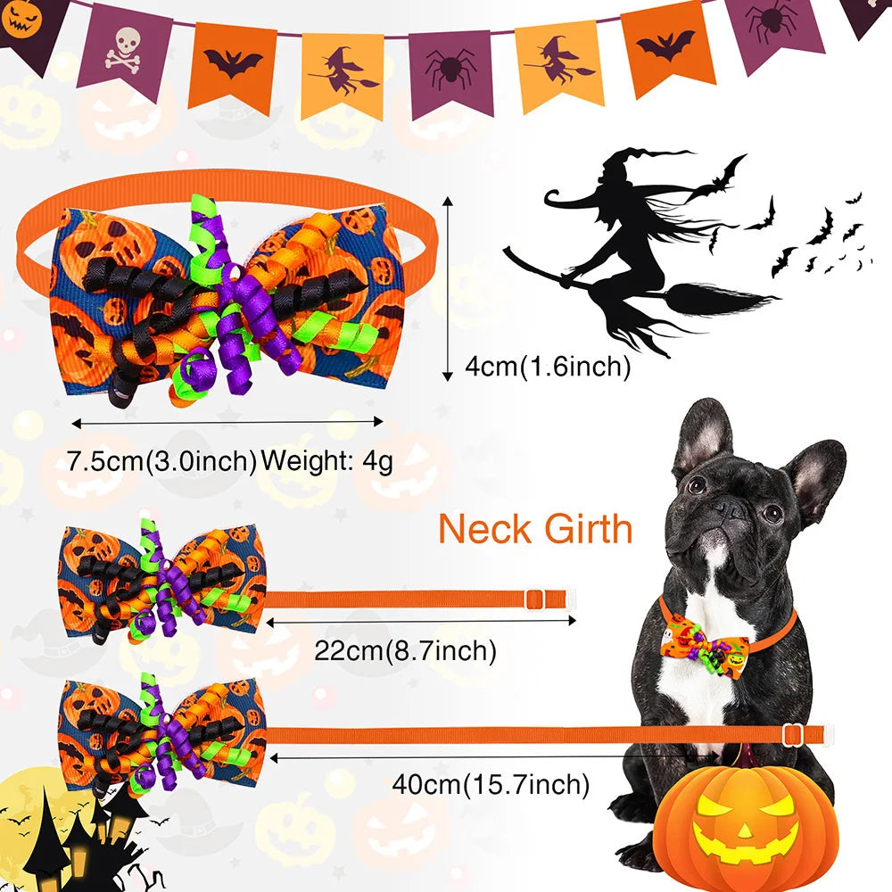 05-New Halloween Dog.