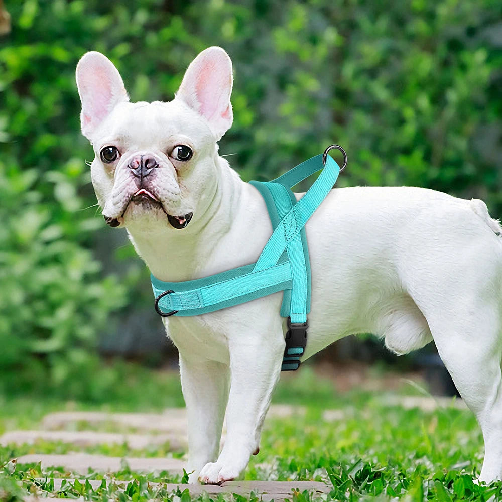 Pettorina Nylon Dog Harness No Pull Dog Harnesses Vest Soft Padded Pet Walking Vests Harnesses Durable For Small Medium Large Dogs Pug