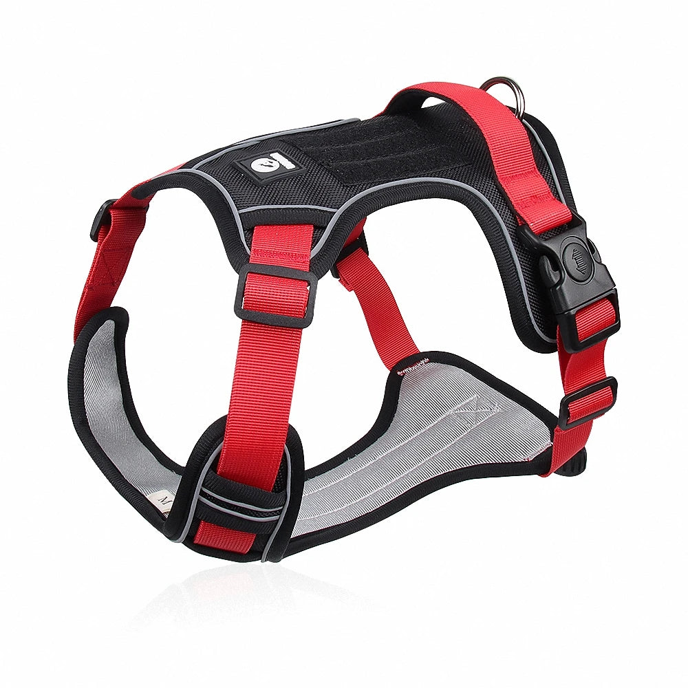 03-Comfort e Controllo – Pettorina per Bulldog & Cani Robusti