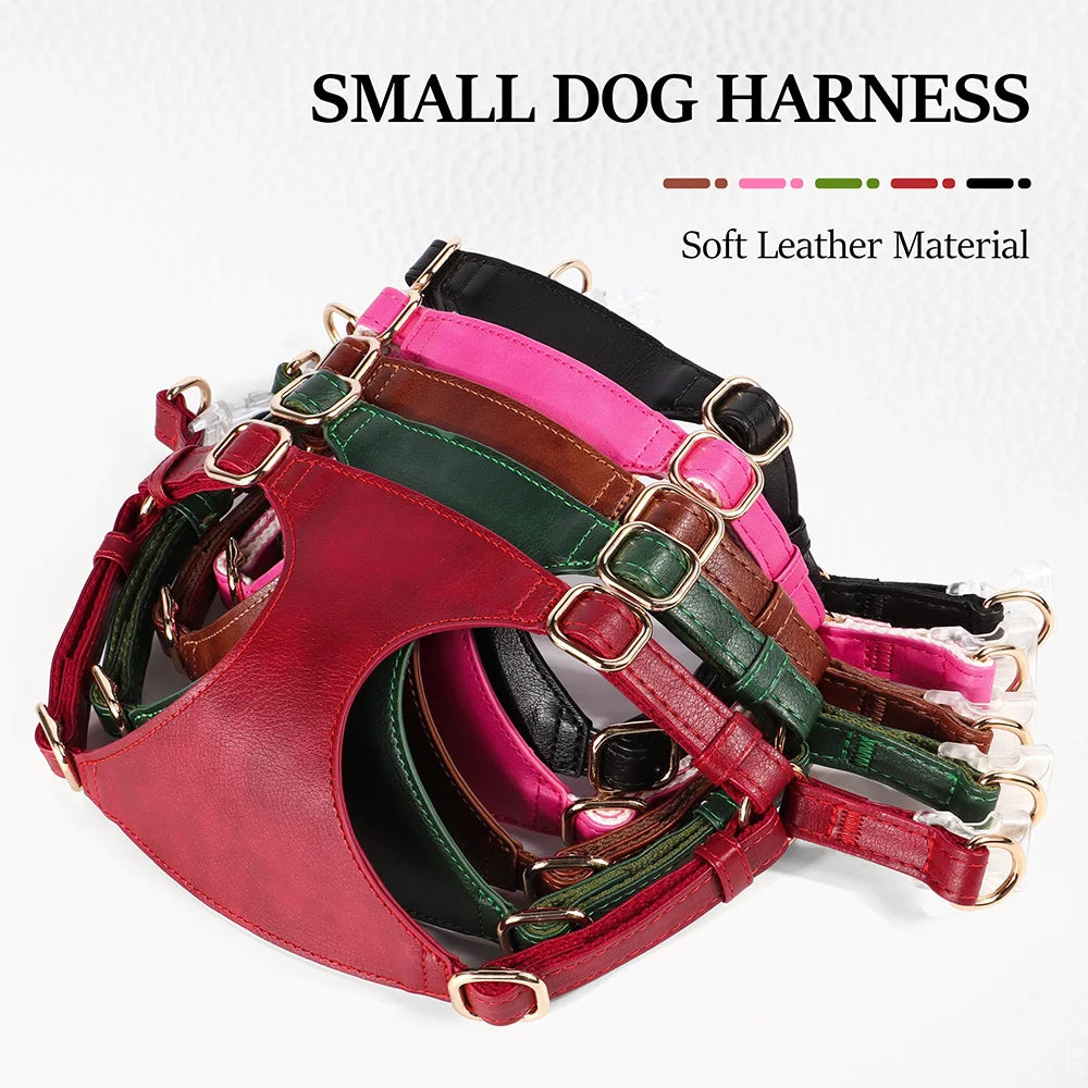 Pettorina PU Leather Dog Harness Leash Set Dog Cat Chest Strap Traction 5ft Rope Walking Vest Harness for Small Medium Dogs Pet Supplies
