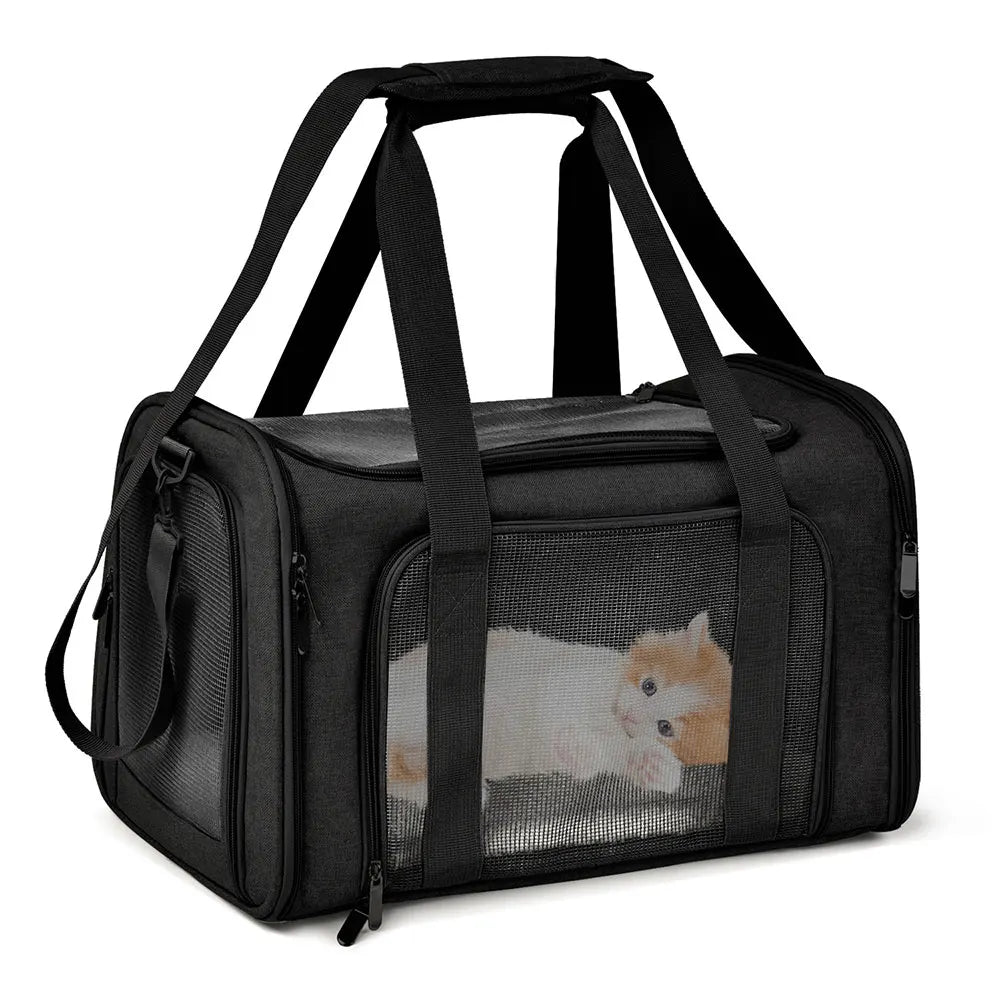 Trasportino Dog Carrier Bag Soft Side Backpack Cat Pet Carriers Dog Travel Bags Airline Approved Transport For Small Dogs Cats Outgoing