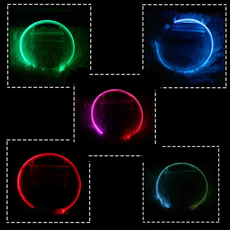 05-Collare USB a LED per Passeggiate Notturne con il Cane