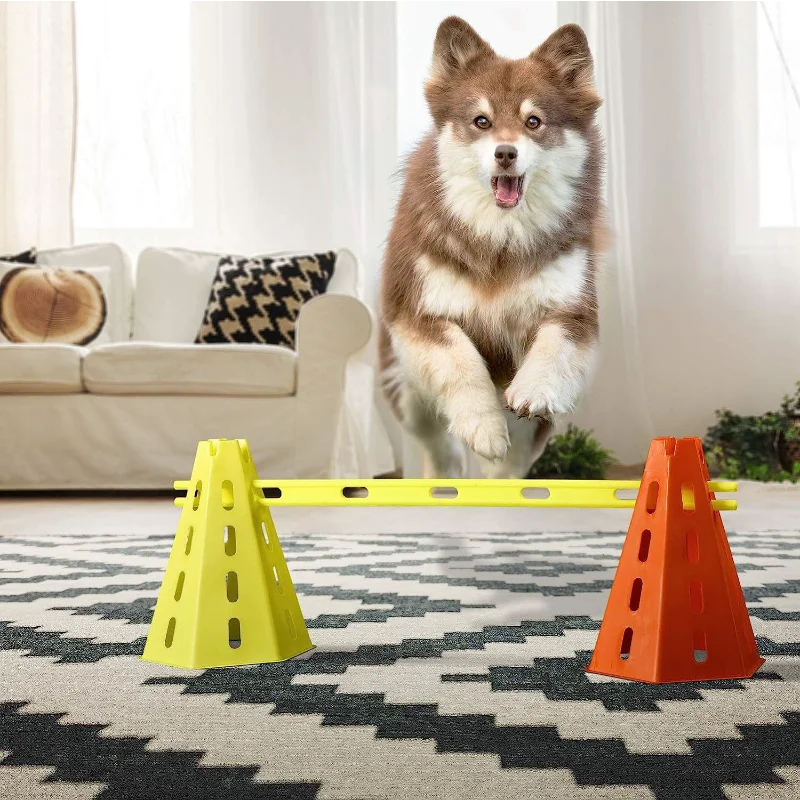 04-Pet Agility Training.