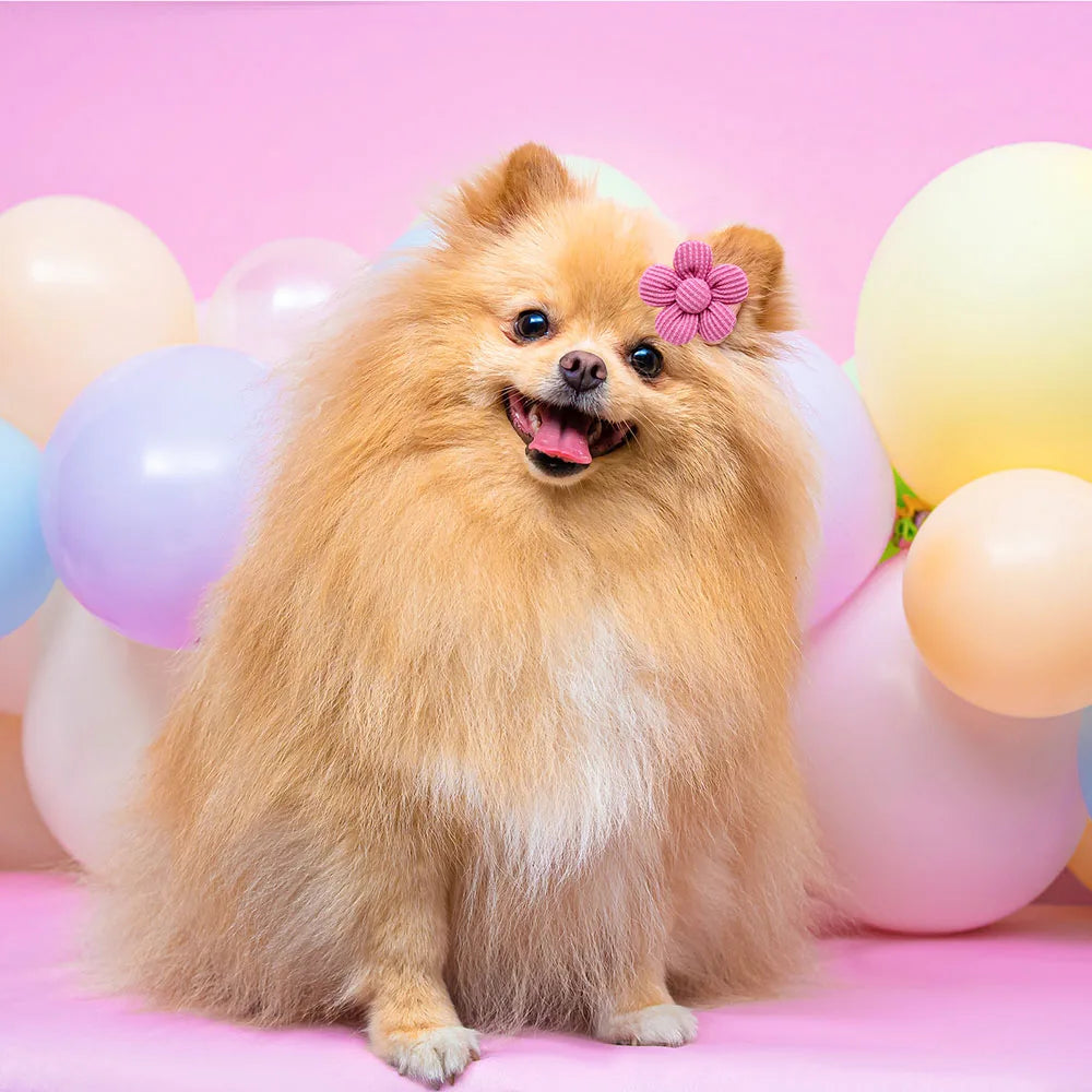 10PCS Solid Color Pet Dog Bows Puppy Flower Hair Bows Rubber Bands for Dogs Cute Cat Dog Bows Hairwear Dog Hair Accessories