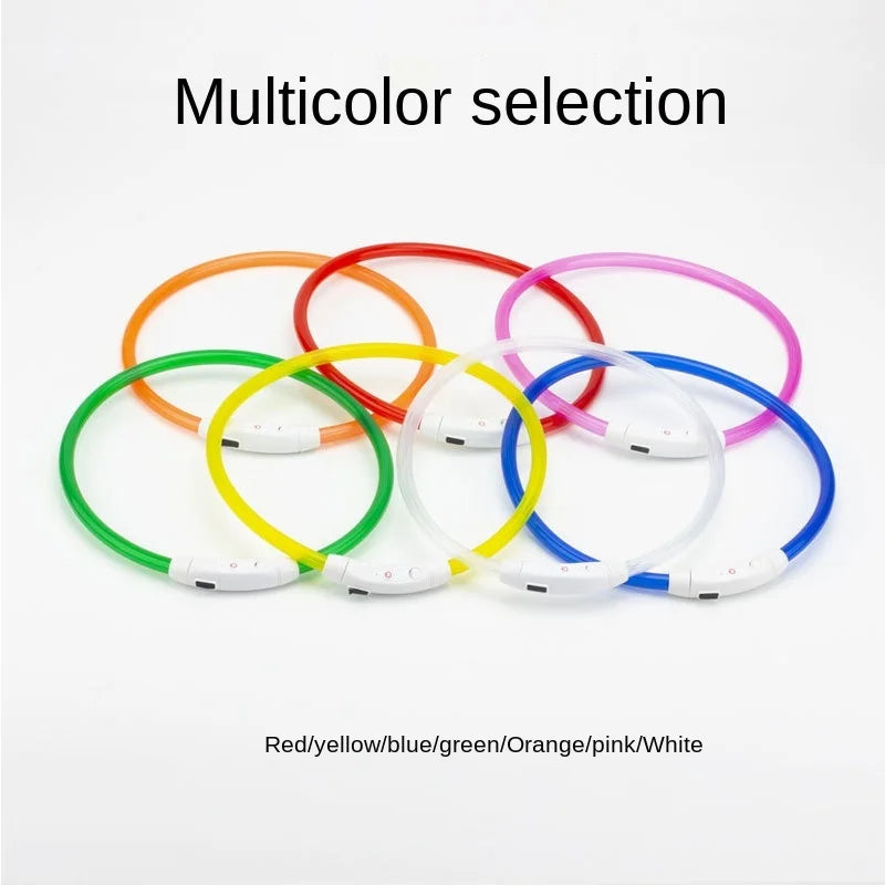 05-Collare USB a LED per Passeggiate Notturne con il Cane