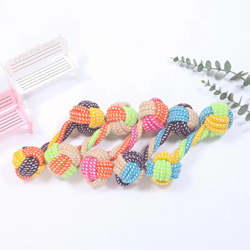 04-Gioco interattivo pet Toys.