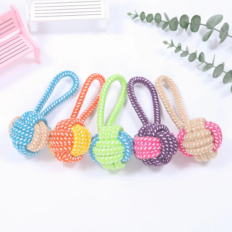 04-Gioco interattivo pet Toys.