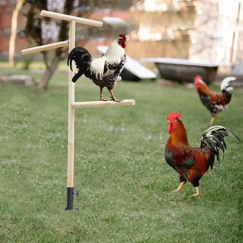 Posatoio Chicken Standing Perch Outdoor Poultry Chicken Stand Perch Toy Playground Birds Training Branch Perch with Ground Plug For