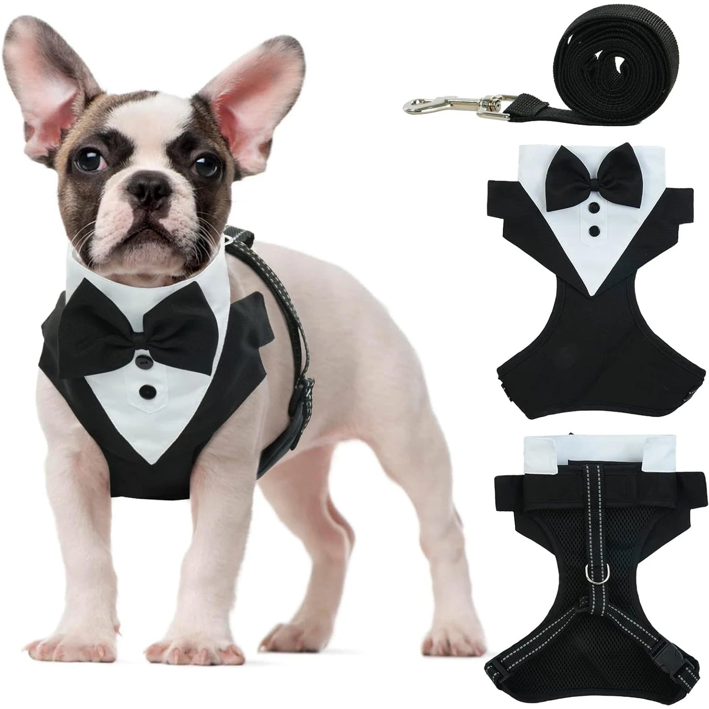 03-Pettorina formale per cuccioli con papillon per matrimonio.