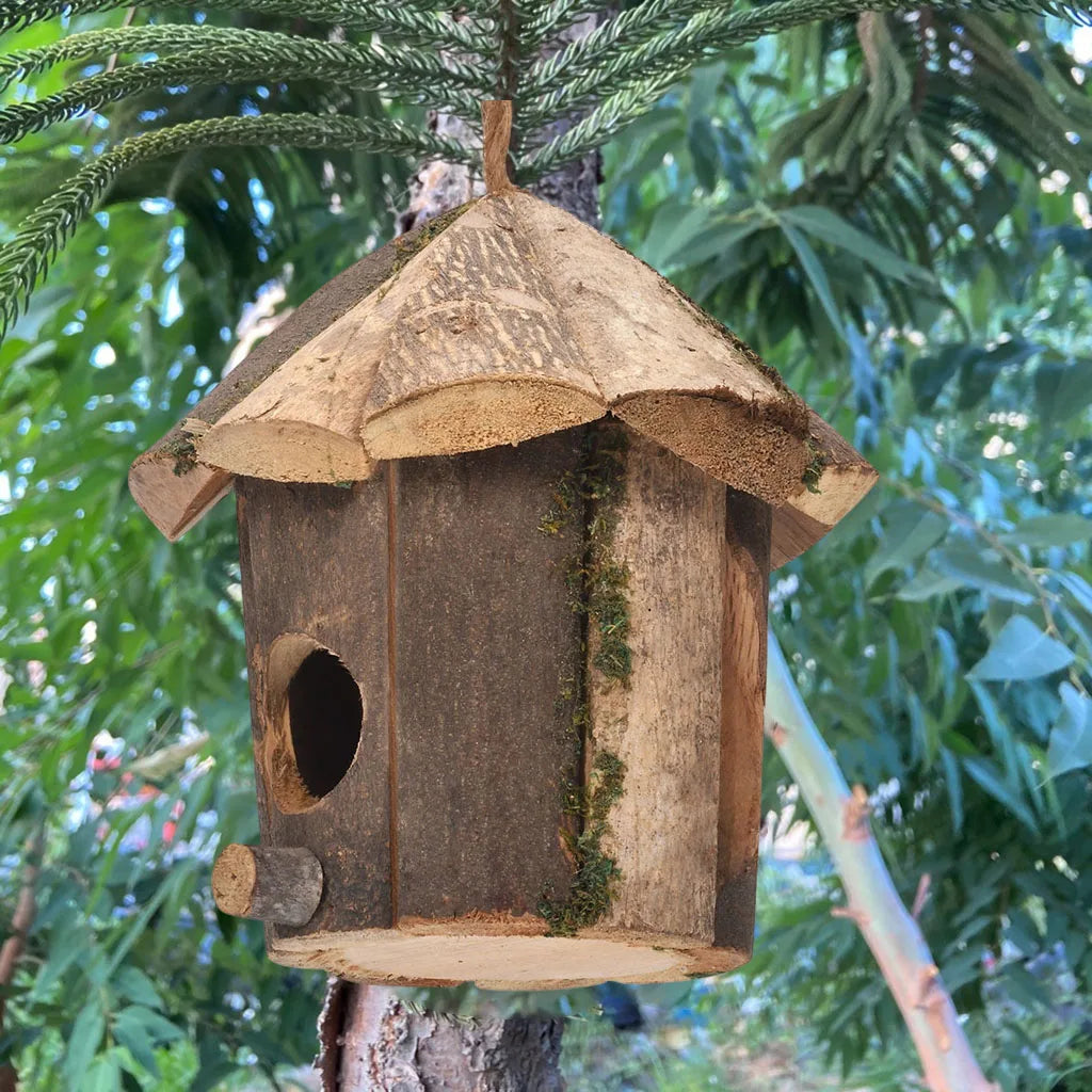 Mini casa per colibrì artigianale.