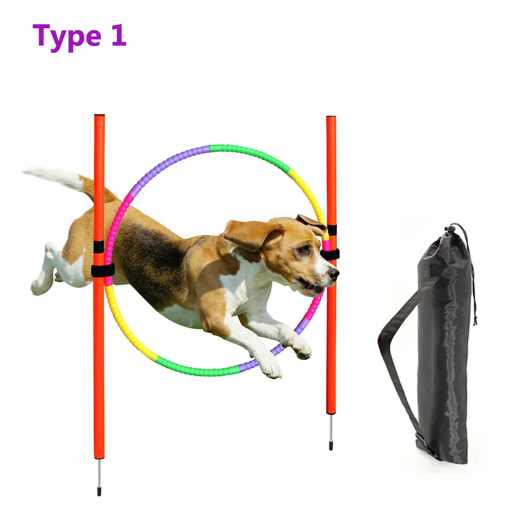 04-Dog Agility Equipment.