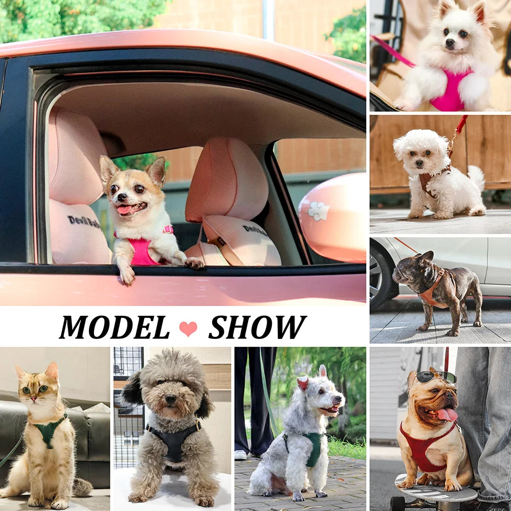 Pettorina PU Leather Dog Harness Leash Set Dog Cat Chest Strap Traction 5ft Rope Walking Vest Harness for Small Medium Dogs Pet Supplies