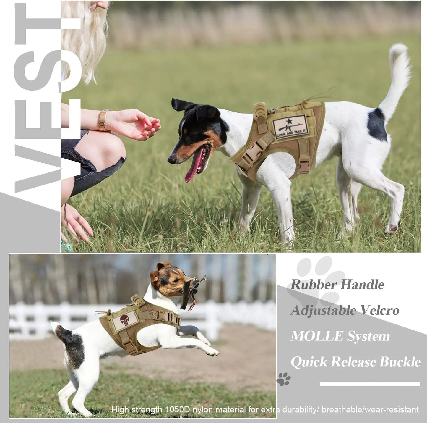 03-Gilet Tattico Regolabile per Cani Piccoli – Outdoor & Allenamento