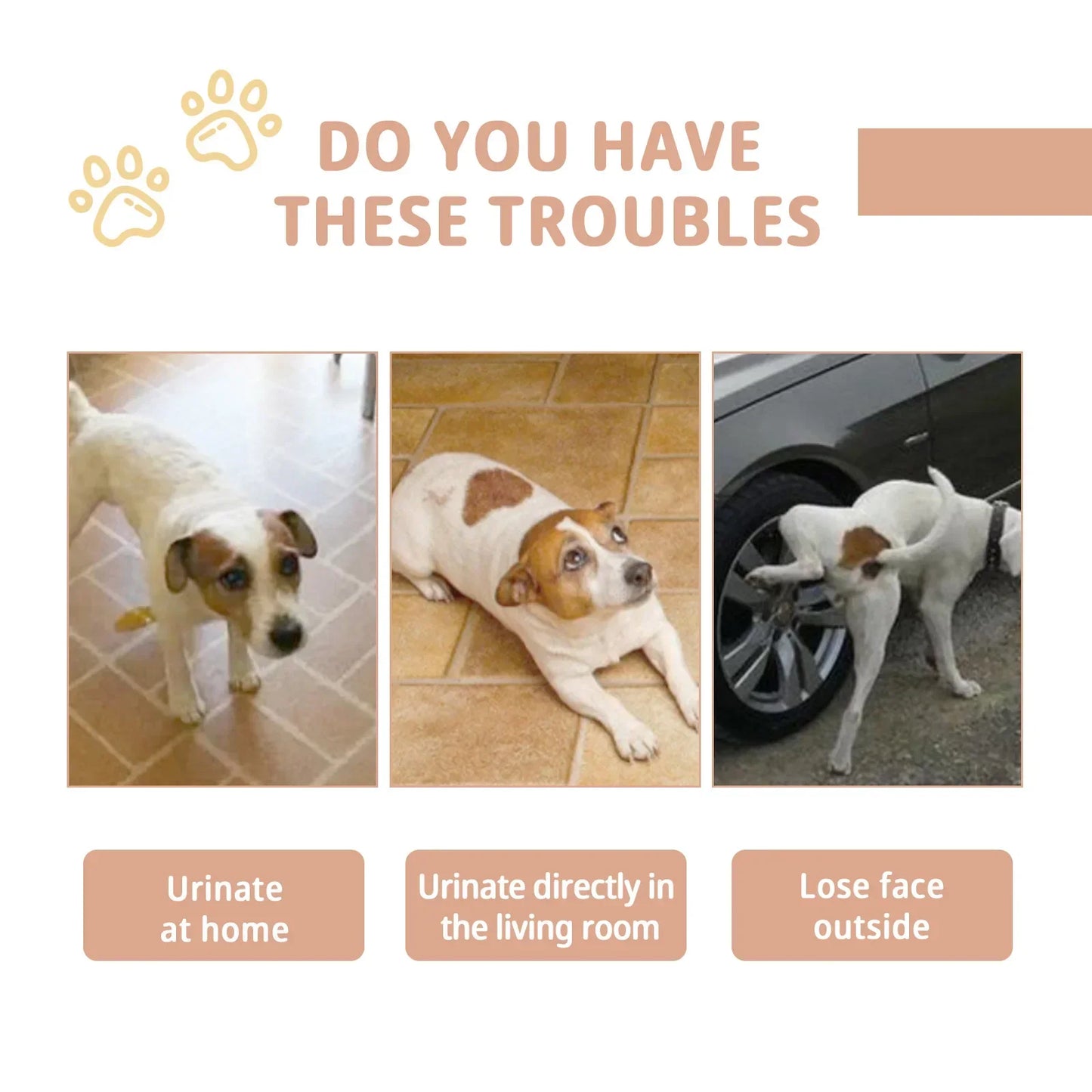 Pet Defecation Inducer Spray Positioning Defecation Indoor Outdoor Cat Potty Urinate Trainer Liquid Dog Toilet Training Spray