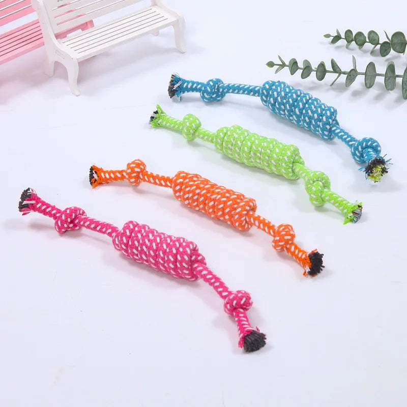 04-Gioco interattivo pet Toys.