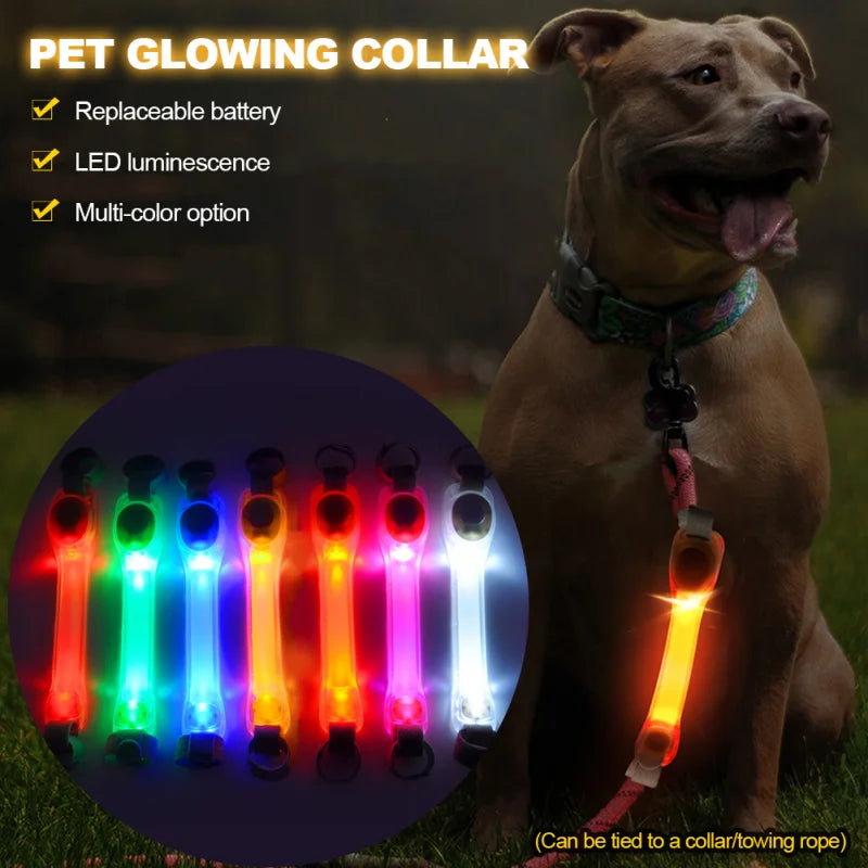 05-Collare luminosi per cani anti smarrimento.