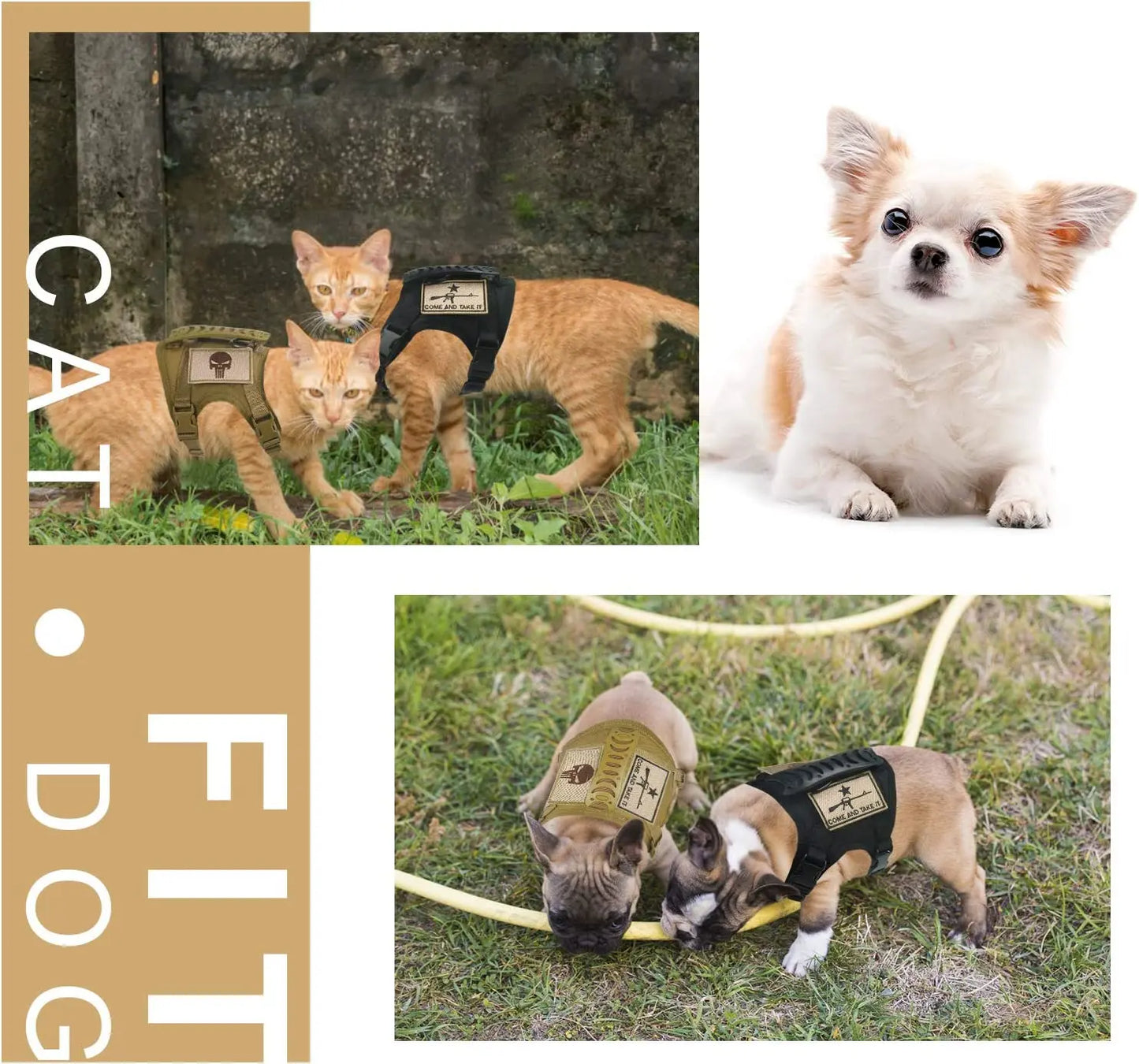 03-Gilet Tattico Regolabile per Cani Piccoli – Outdoor & Allenamento