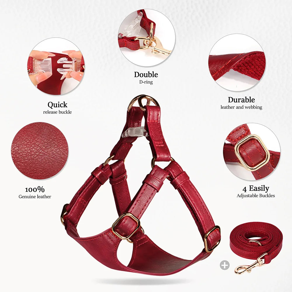 Pettorina PU Leather Dog Harness Leash Set Dog Cat Chest Strap Traction 5ft Rope Walking Vest Harness for Small Medium Dogs Pet Supplies