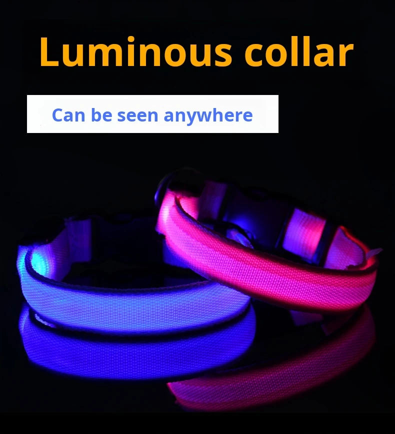 05-Collare luminoso regolabile.