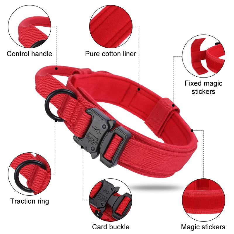 05-Collare addestramento e passeggio per cani con maniglia controllo