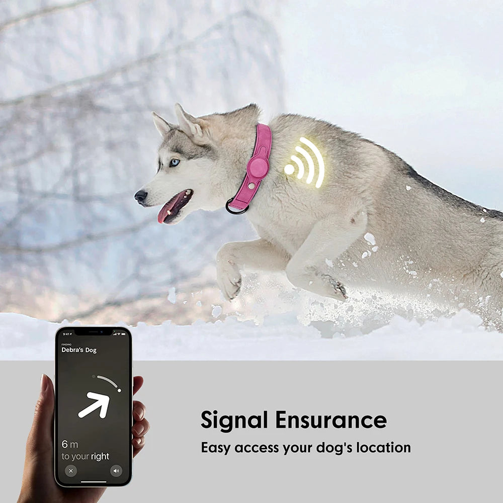 05a-Collare GPS in pelle per cani – Antismarrimento e regolabile