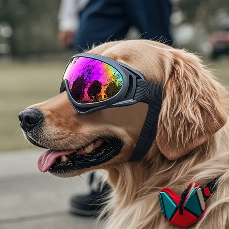 04a-Dog Vision PRO – Occhiali da Sole Anti-UV per Cani Leggendari