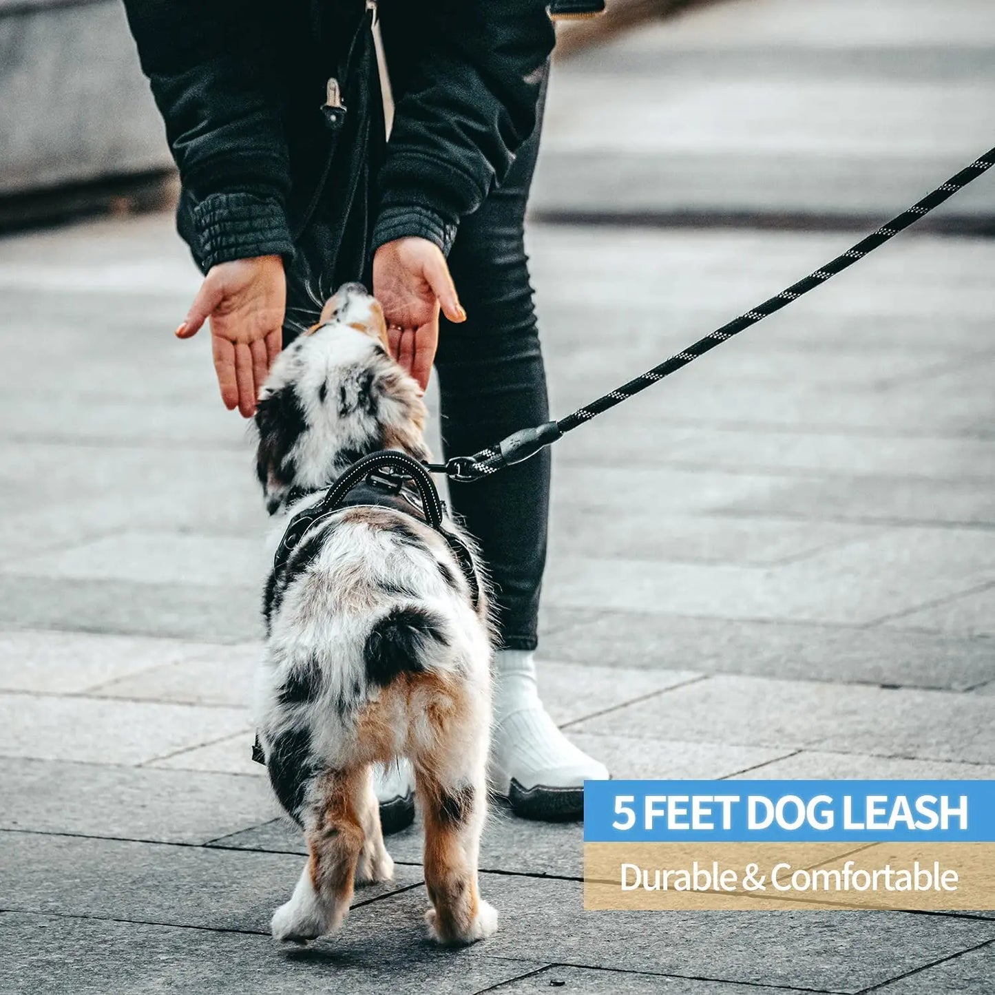 Strong Pet Dog Leash with Soft Padded Handle,Highly Reflective Rope for Night Walking,Suitable for Small,Medium and Large Dog