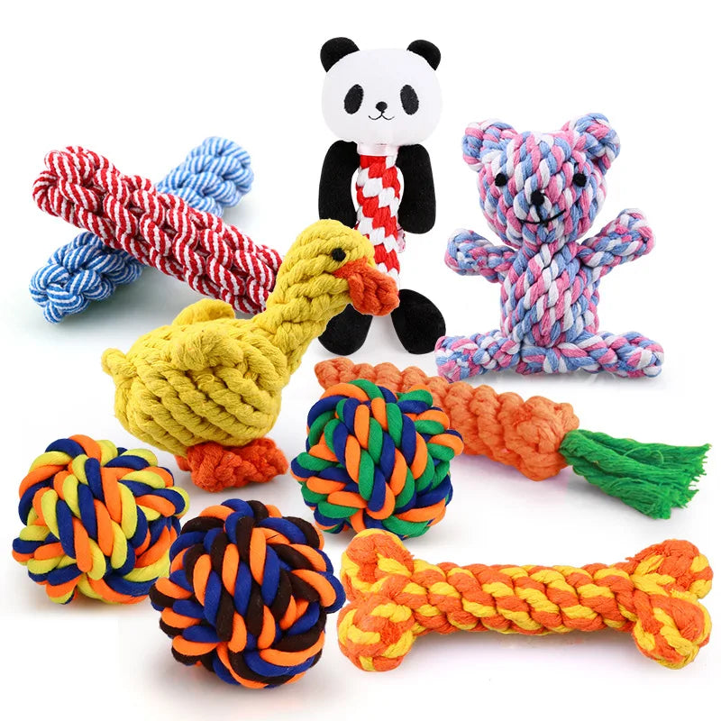 04-Giochi interattivi per cani.