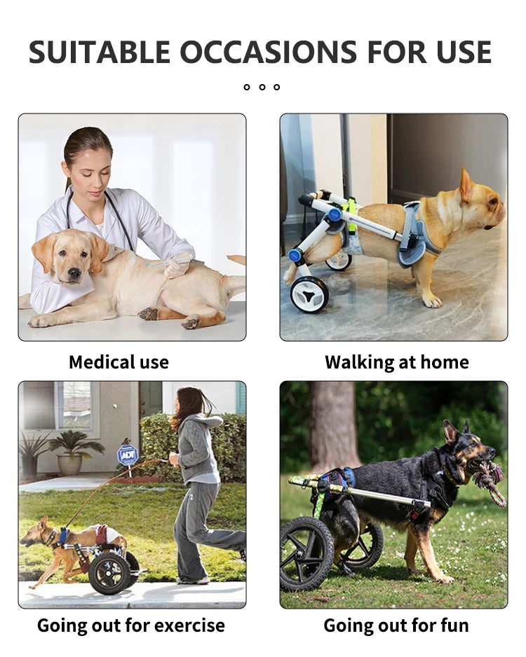 Veicolo per la riabilitazione dei caniCani di piccola tagliaVeicolo per la mobilità assistibile Veicolo per disabili per animali Veicolo per ausilio alla camminata per cani