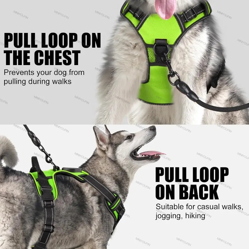 Pettorina LED luminosa per cani – Pettorina con modalità di luce a LED, essenziale per la sicurezza durante le passeggiate notturne, ricaricabile e con tre modalità di illuminazione.