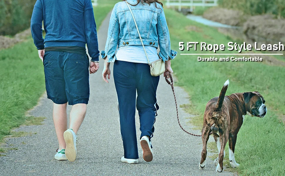 Strong Pet Dog Leash with Soft Padded Handle,Highly Reflective Rope for Night Walking,Suitable for Small,Medium and Large Dog