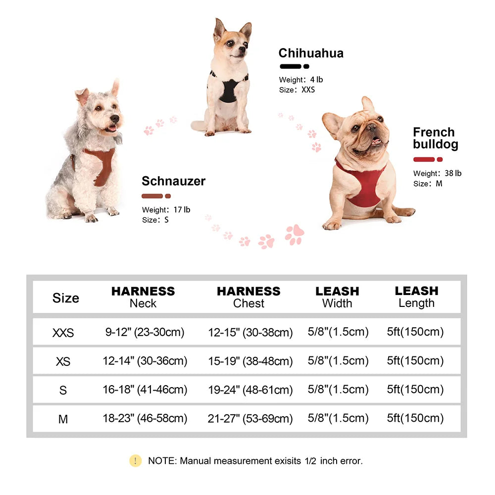 Pettorina PU Leather Dog Harness Leash Set Dog Cat Chest Strap Traction 5ft Rope Walking Vest Harness for Small Medium Dogs Pet Supplies